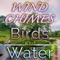 Wind Chimes - Zen Meditations from a Sleeping Buddha, Water Nature Society & Wind Chimes Nature Society lyrics