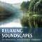 Roam the Meadows - Max Relax, SyncSouls & Torsten Abrolat lyrics