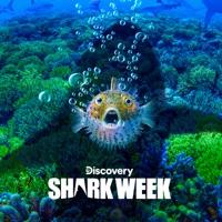 Télécharger Shark Week 2019 Episode 15