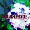Lifecycle - Single album lyrics, reviews, download