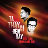 Ta Thấy Gì Đêm Nay artwork