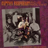 Captain Beefheart And His Magic Band - Diddy Wah Diddy