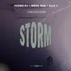 Storm (feat. Abstract Orchestra) - Single album lyrics, reviews, download