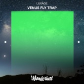 Venus Fly Trap artwork