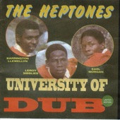 University of Dub artwork