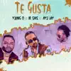 Te Gusta - Single album lyrics, reviews, download