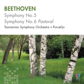 Beethoven: Symphonies Nos 5 & 6 artwork