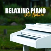 Relaxing Piano with Nature artwork