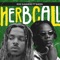 Herb Call (feat. Sheen) - Roe Summerz lyrics