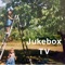 Jukebox Tv artwork