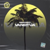 Vaneitua artwork