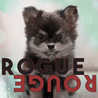 Amber Liu - Rogue Rouge - EP artwork