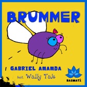 Gabriel Ananda - Brummer