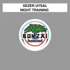 Night Training - Single album lyrics, reviews, download