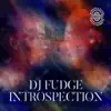 Introspection - Single album lyrics, reviews, download