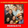 La Gaita Buena Nunca Envejece - Single, 1990