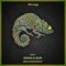 Abduction Phase - Oravla Ziur lyrics