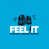 Feel It (Radio Version) artwork