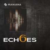 Echoes 6 artwork