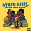 Atofo Kesie (feat. Bosom P-Yung) [Remix] - Single