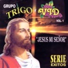 Jesús Mi Señor - Serie Éxitos, Vol. 1