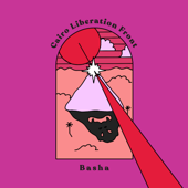 Basha - Caïro Liberation Front