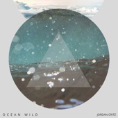 Ocean Wild artwork