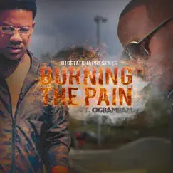 Burning the Pain (feat. Ogbambam) - Single by DJ Getatcha album reviews, ratings, credits
