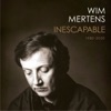Wim Mertens - Maximizing The Audience