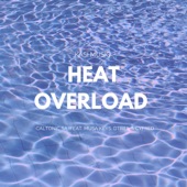 Heat Overload (feat. Musa Keys, Dtrill & Cyfred) artwork