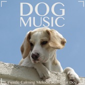 Dog Music: Gentle Calming Melodies for Your Dog artwork