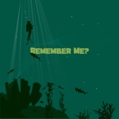 Remember Me? artwork