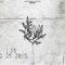 Rebrith (feat. Kryptix) - Youngwolf lyrics
