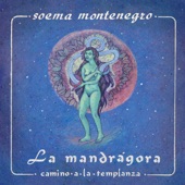 La Mandrágora artwork