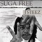 Sin or 2 (feat. Young Brown & Diamyn) - Suga Free & J Steez lyrics