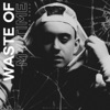 Waste of My Time - Single