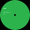 Yoshinori Hayashi - Geckos