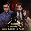 Wafa Lazim to Nahi - Single