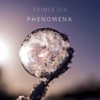 Phenomena - Single