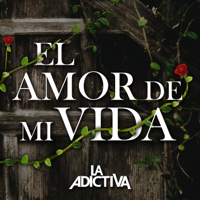 La Adictiva Banda San José de Mesillas - El Amor de Mi Vida artwork