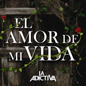 El Amor de Mi Vida - Single