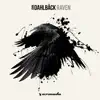 Raven song lyrics