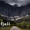 Fjell - Single