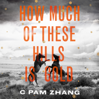 C Pam Zhang - How Much of These Hills is Gold artwork