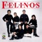 No Que No - Los Felinos lyrics