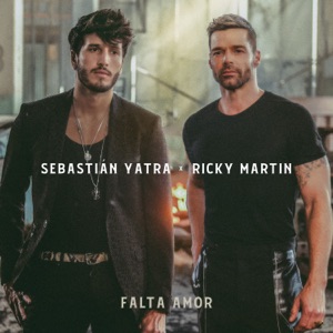 Falta Amor - Single