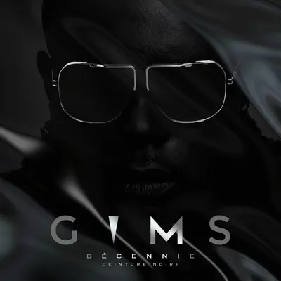 Ceinture noire (Décennie) - Maitre Gims