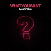 What You Want artwork