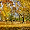 Best of Intermission - EP
