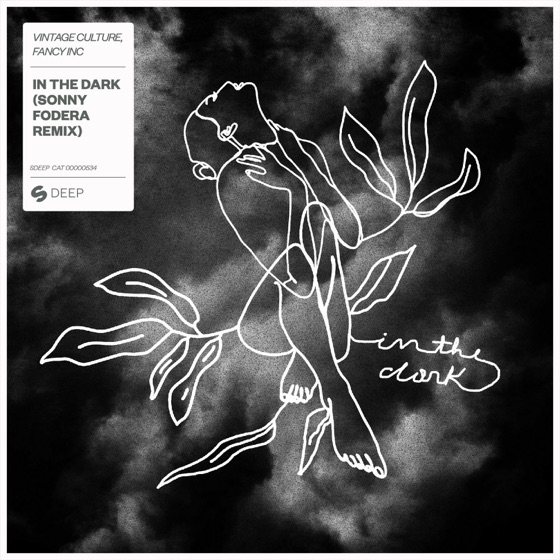 Cover artwork for In the Dark (Sonny Fodera Extended Remix)